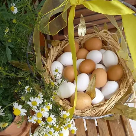 Venetian Hill House By 