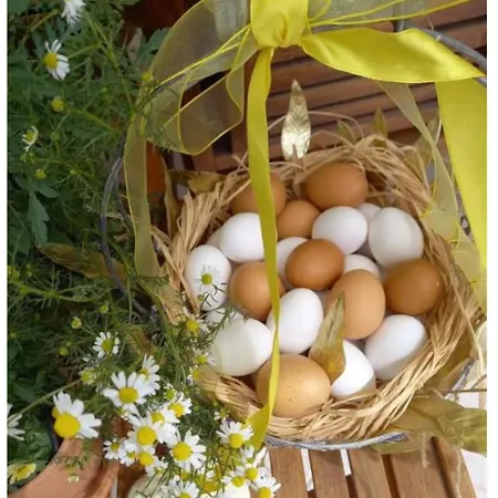 Venetian Hill House By 